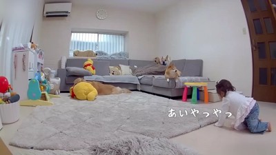 ハイハイがマイブーム♪