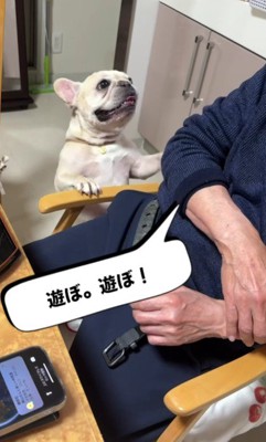 「あそぼ、あそぼ」