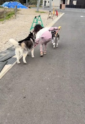 リードが絡まった時も素早く対応