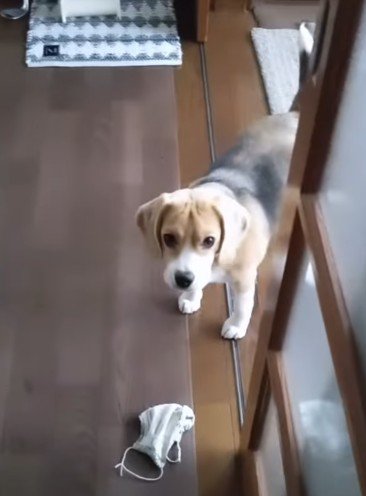 「風邪ひいてない？」