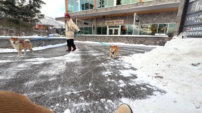 「パパ？」と探りながら近づいて…