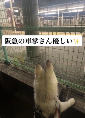 優しい世界線にほっこり
