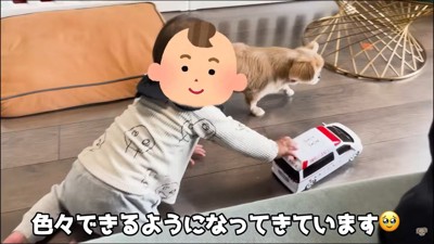赤ちゃんから離れないハナちゃん8