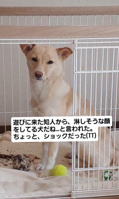 そらちゃんの変化