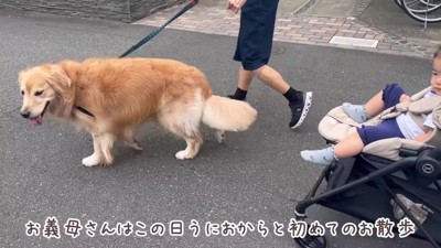 お散歩も一緒に行ってくれた