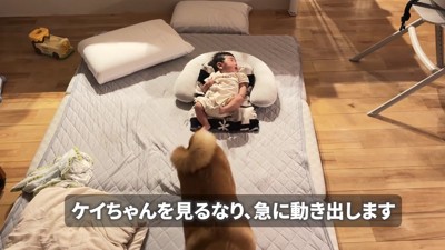 むぎちゃんが来ると…