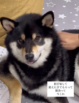 勝ち誇った顔にクスッ