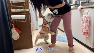 女性の足にしがみつくオスの犬