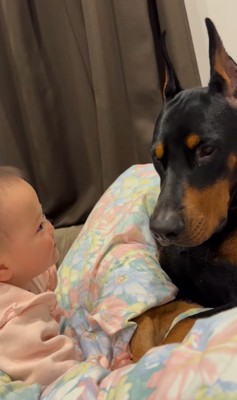 テンくんとニルくんと女の子の成長記録3