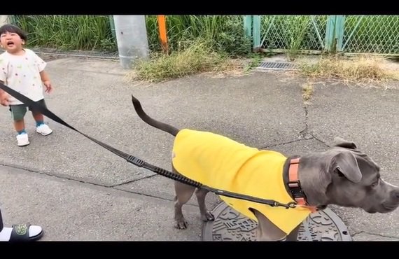 立ち止まるあおいくん