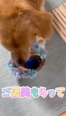 おやつのケースが入ったカゴを男性の前へ置く犬