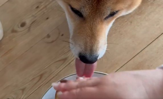 止められるも