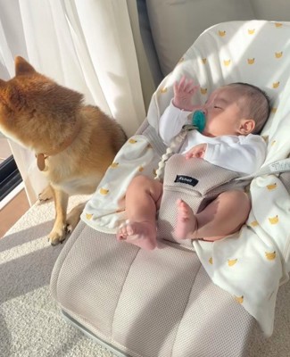 危ないものはないかな？