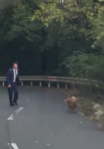 全速力で走っていた