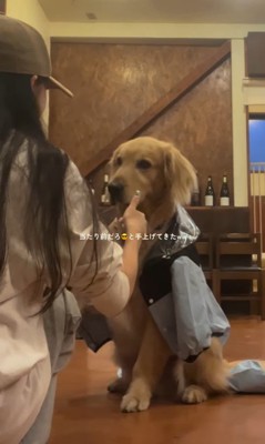 初めてカッパを着たライトくん6