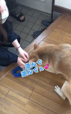 遊んで欲しい朔くん