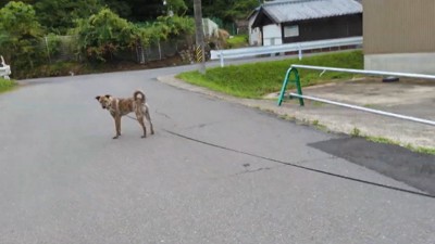 気遣ってくれるりゅうさん