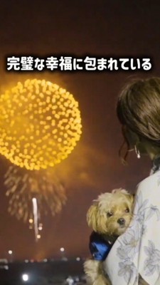 女性に抱っこされながら花火を見る犬