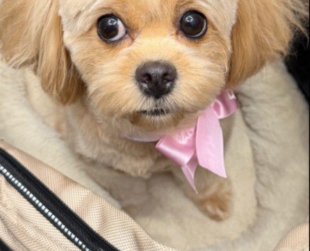 カットしてもらうと…