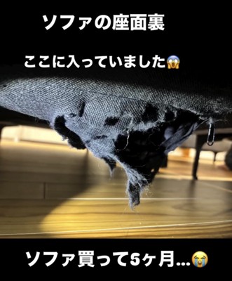 ソファ裏が大きく裂けた様子
