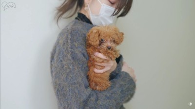 初トリミング頑張るよ!