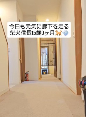飼い主さん宅