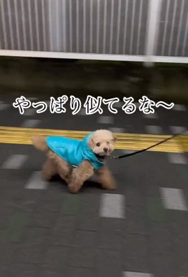 やっぱり気になるちびちゃん