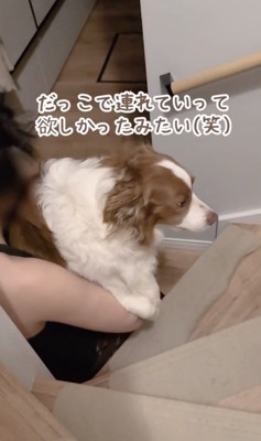 抱っこがご希望でした