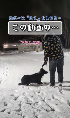 「フセして」と伝えたら…