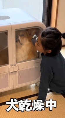 ドライヤーハウスの中をのぞき込む女の子