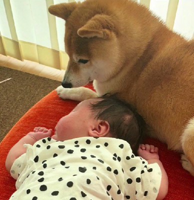 優しい眼差しが母のよう…