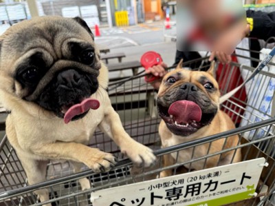 2匹とも楽しそう♪