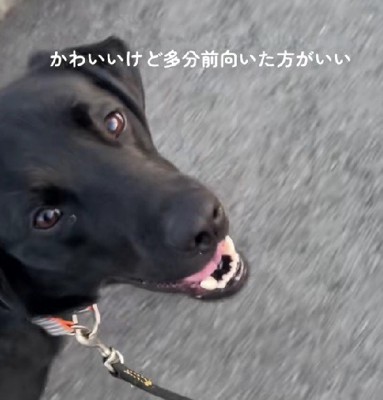 そろそろ前見てね！？