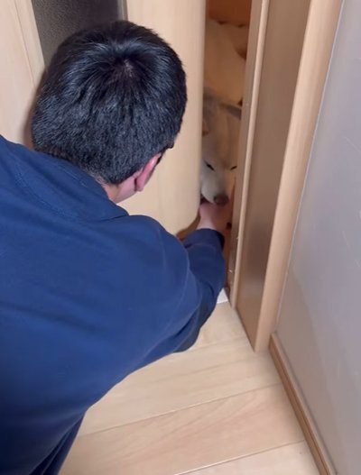 犬の体を撫でる飼い主