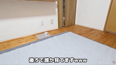 じゅんちゃんが見てる…！