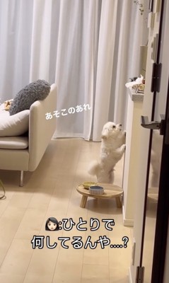 何かを狙ってる