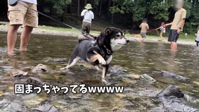 片手を上げてフリーズ