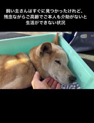 飼い主さんは高齢で介助できない…