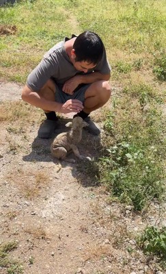 ご主人が近づくと…