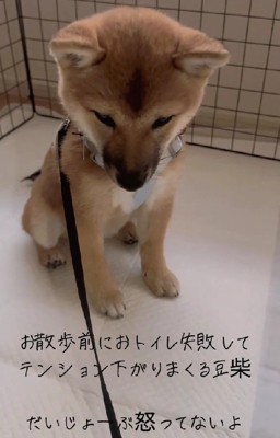 まだまだ幼い赤ちゃん