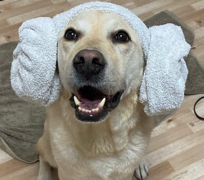 シャンプーですっきり