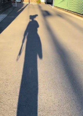 お散歩するわんこと男性