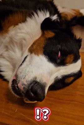 白目の都ちゃん