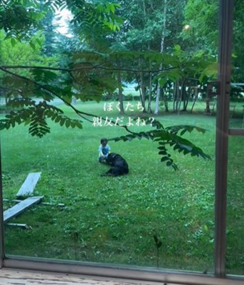 赤ちゃんと黒い犬1