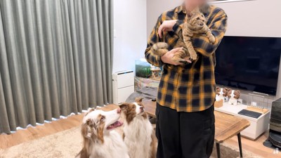 たまちゃんに釘付け