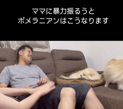 マリンちゃん「どしたん?」