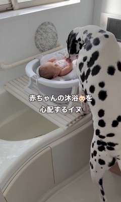 赤ちゃんを心配するジルくん5