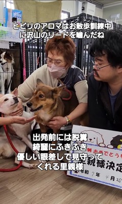 幸せを掴んだいっちゃん＆アロマちゃん7