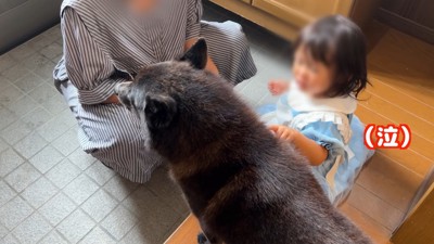 お別れの日の様子