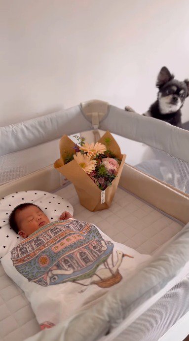 ベッドで眠る赤ちゃんを見つめる犬